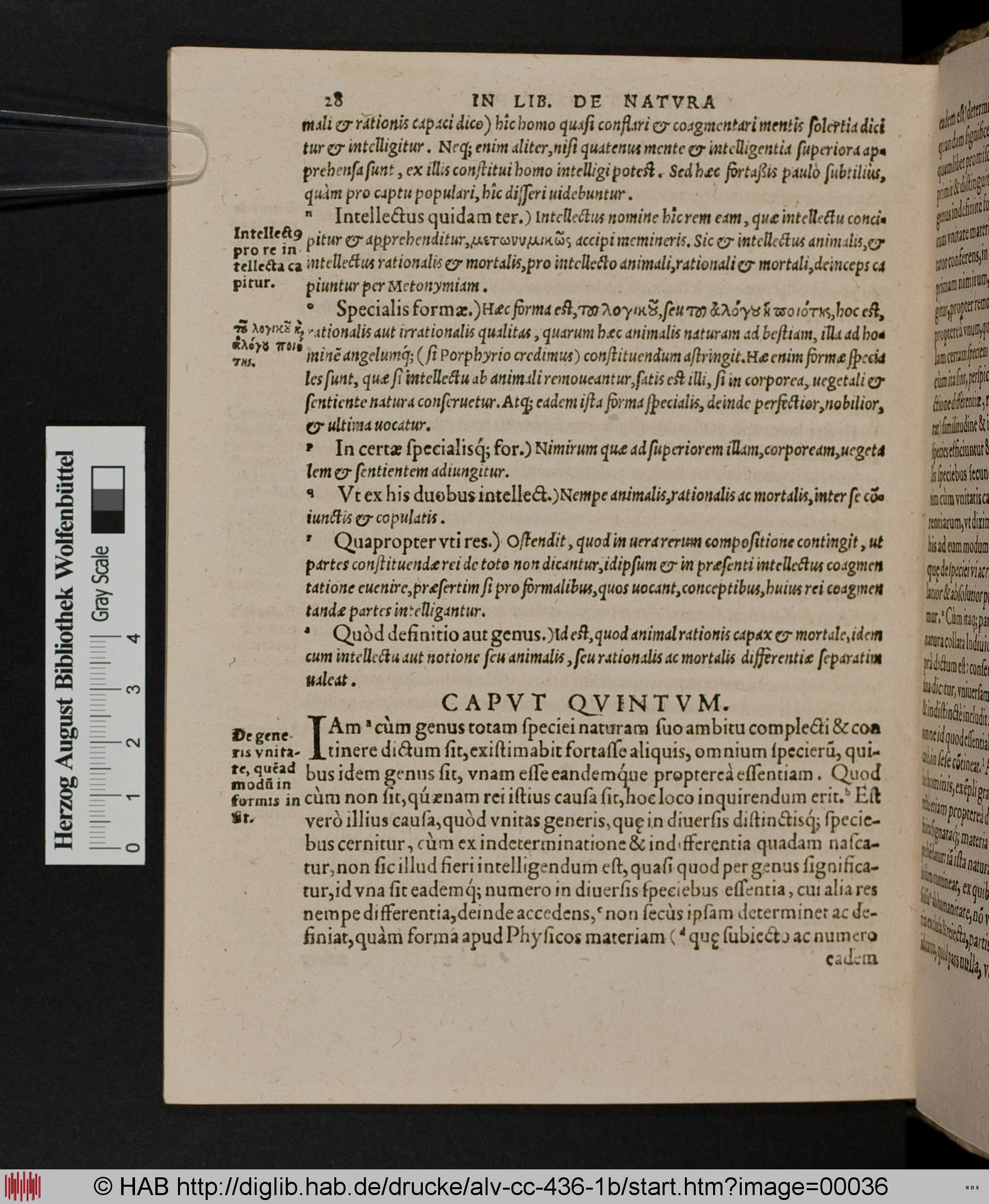 http://diglib.hab.de/drucke/alv-cc-436-1b/max/00036.jpg