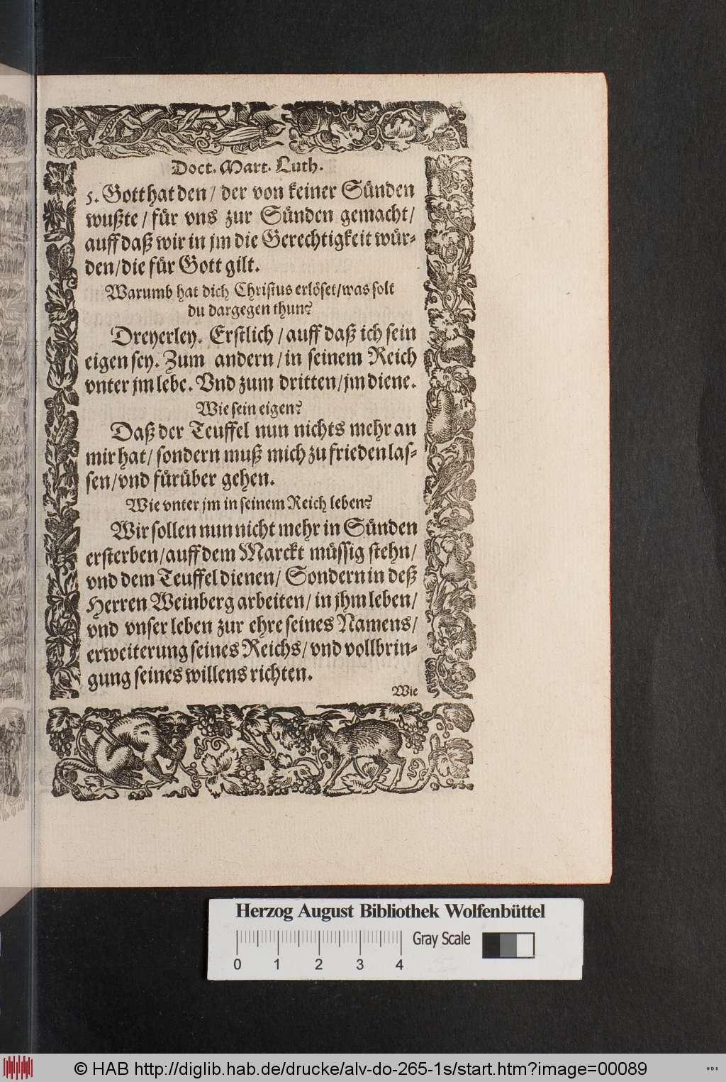 http://diglib.hab.de/drucke/alv-do-265-1s/00089.jpg