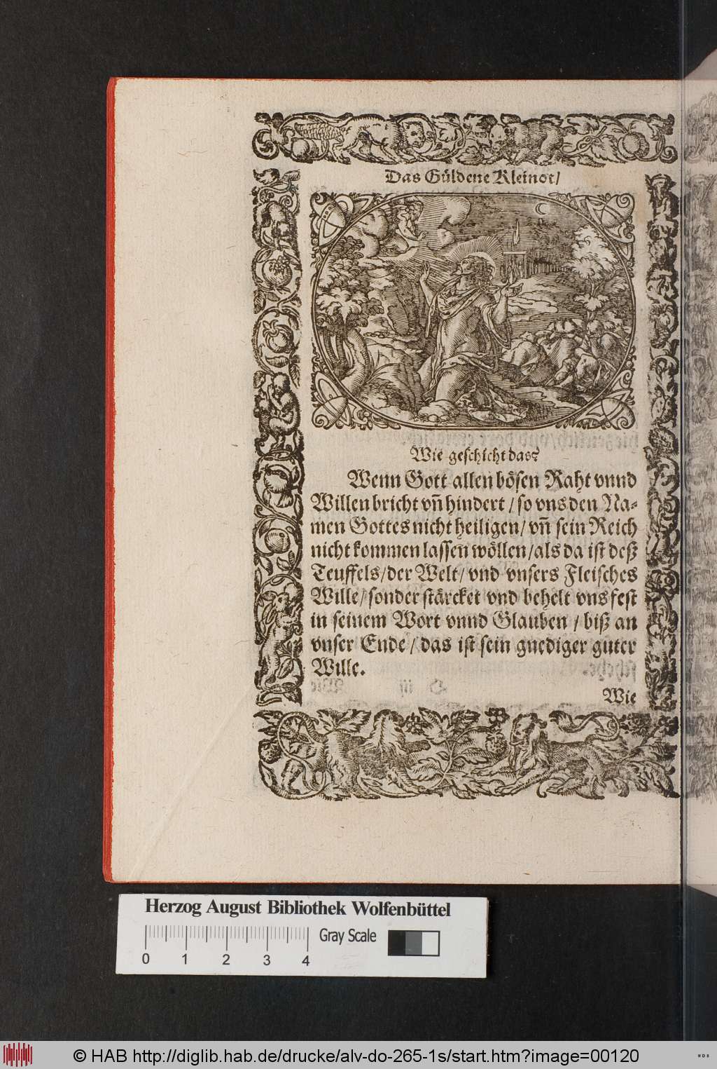 http://diglib.hab.de/drucke/alv-do-265-1s/00120.jpg