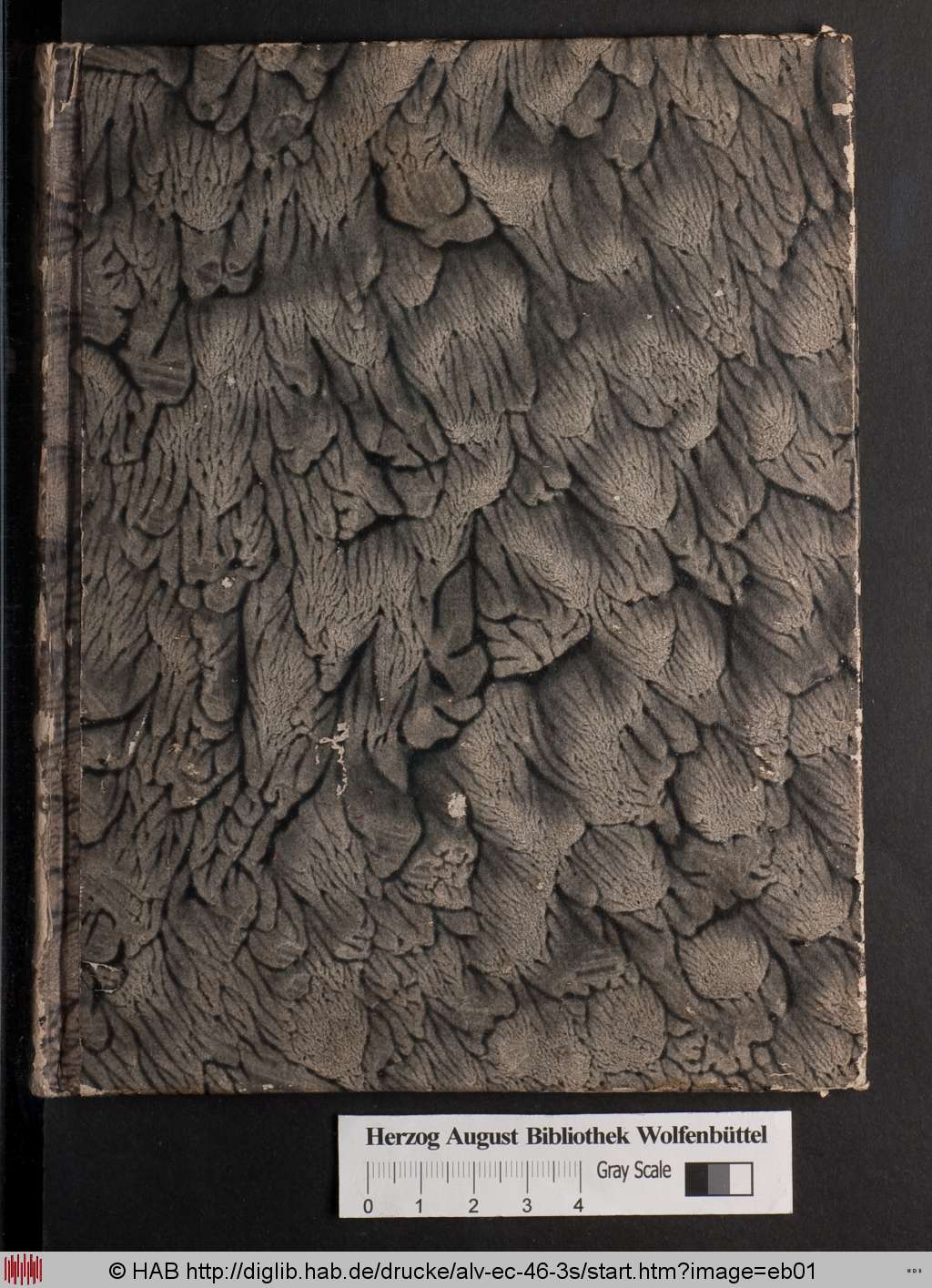 http://diglib.hab.de/drucke/alv-ec-46-3s/eb01.jpg