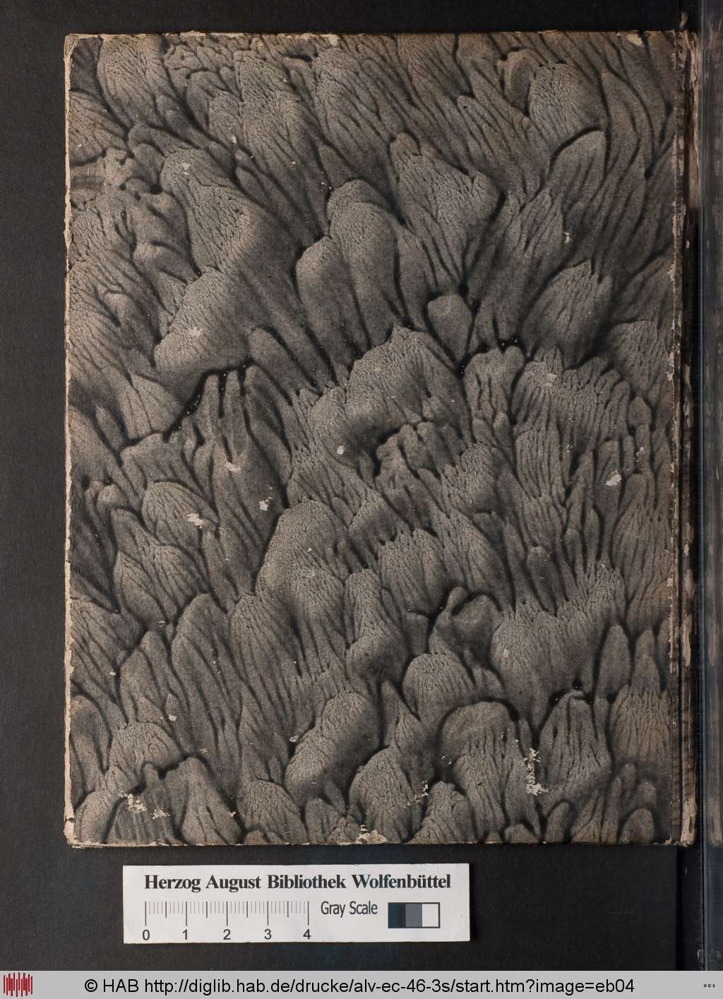 http://diglib.hab.de/drucke/alv-ec-46-3s/eb04.jpg