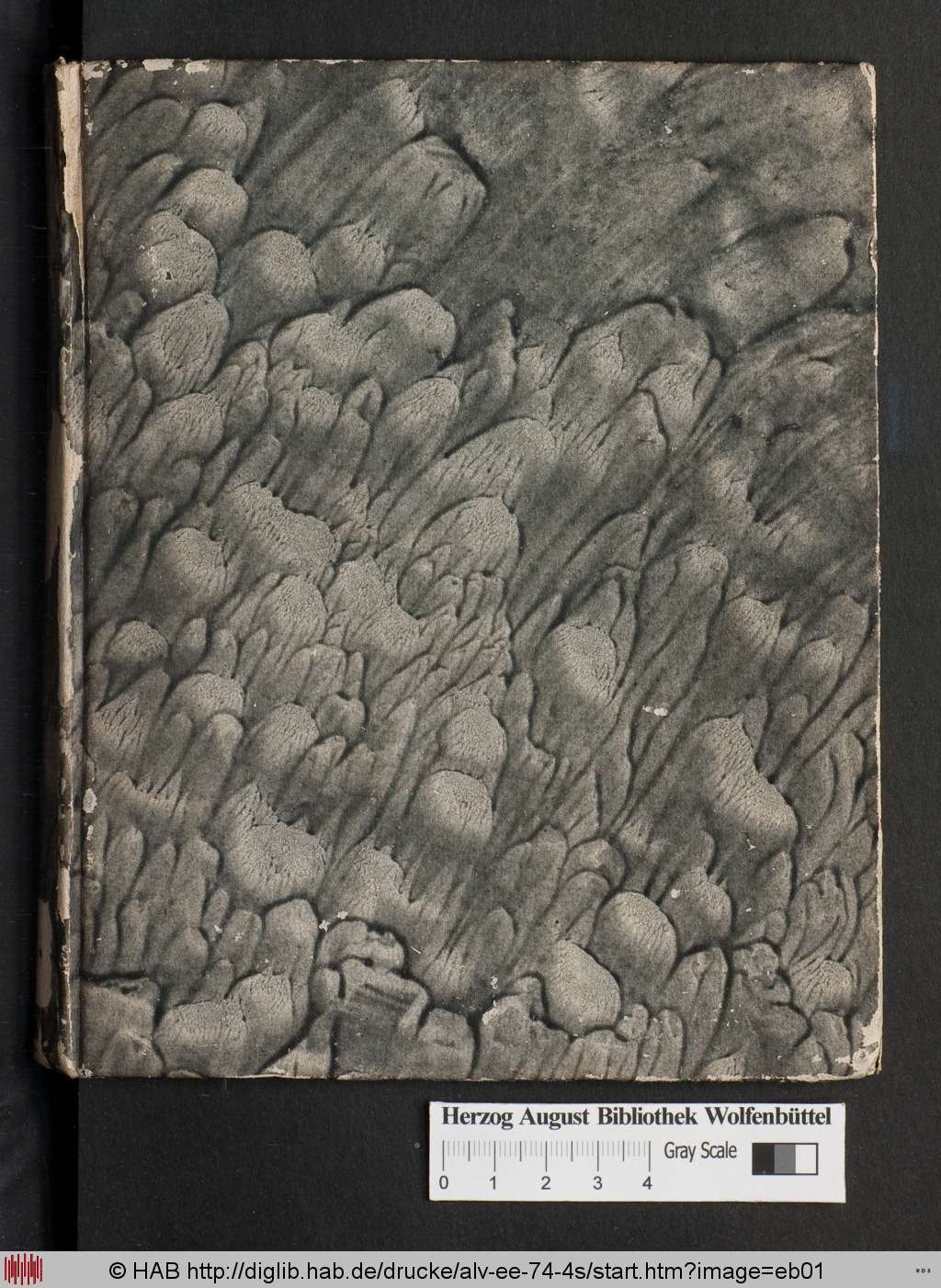 http://diglib.hab.de/drucke/alv-ee-74-4s/eb01.jpg
