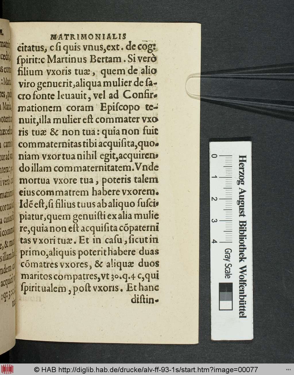http://diglib.hab.de/drucke/alv-ff-93-1s/00077.jpg