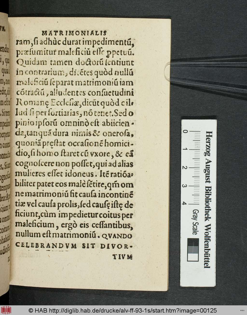 http://diglib.hab.de/drucke/alv-ff-93-1s/00125.jpg