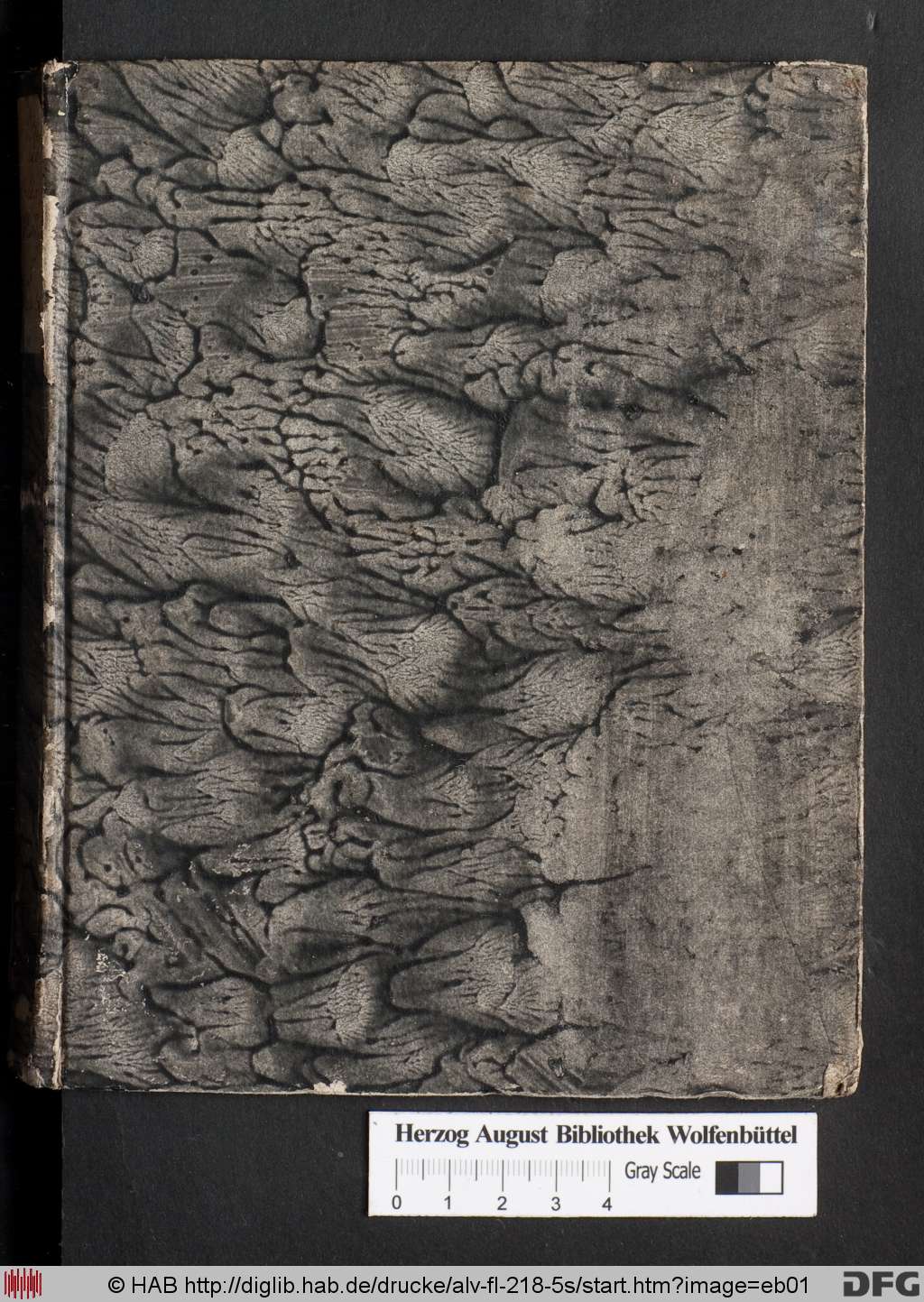 http://diglib.hab.de/drucke/alv-fl-218-5s/eb01.jpg