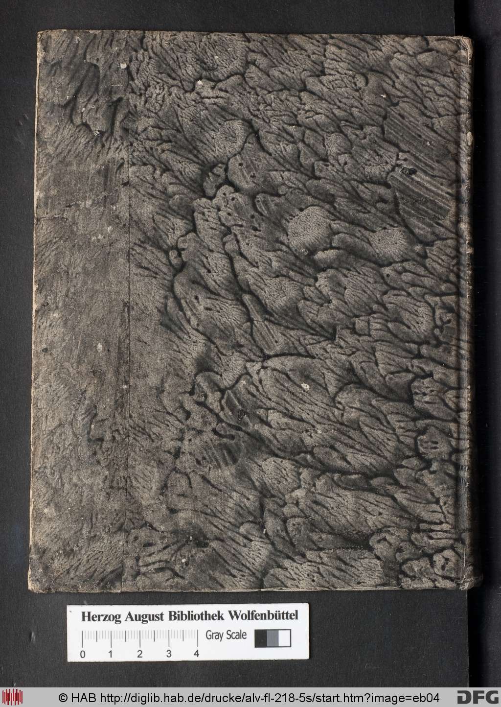 http://diglib.hab.de/drucke/alv-fl-218-5s/eb04.jpg