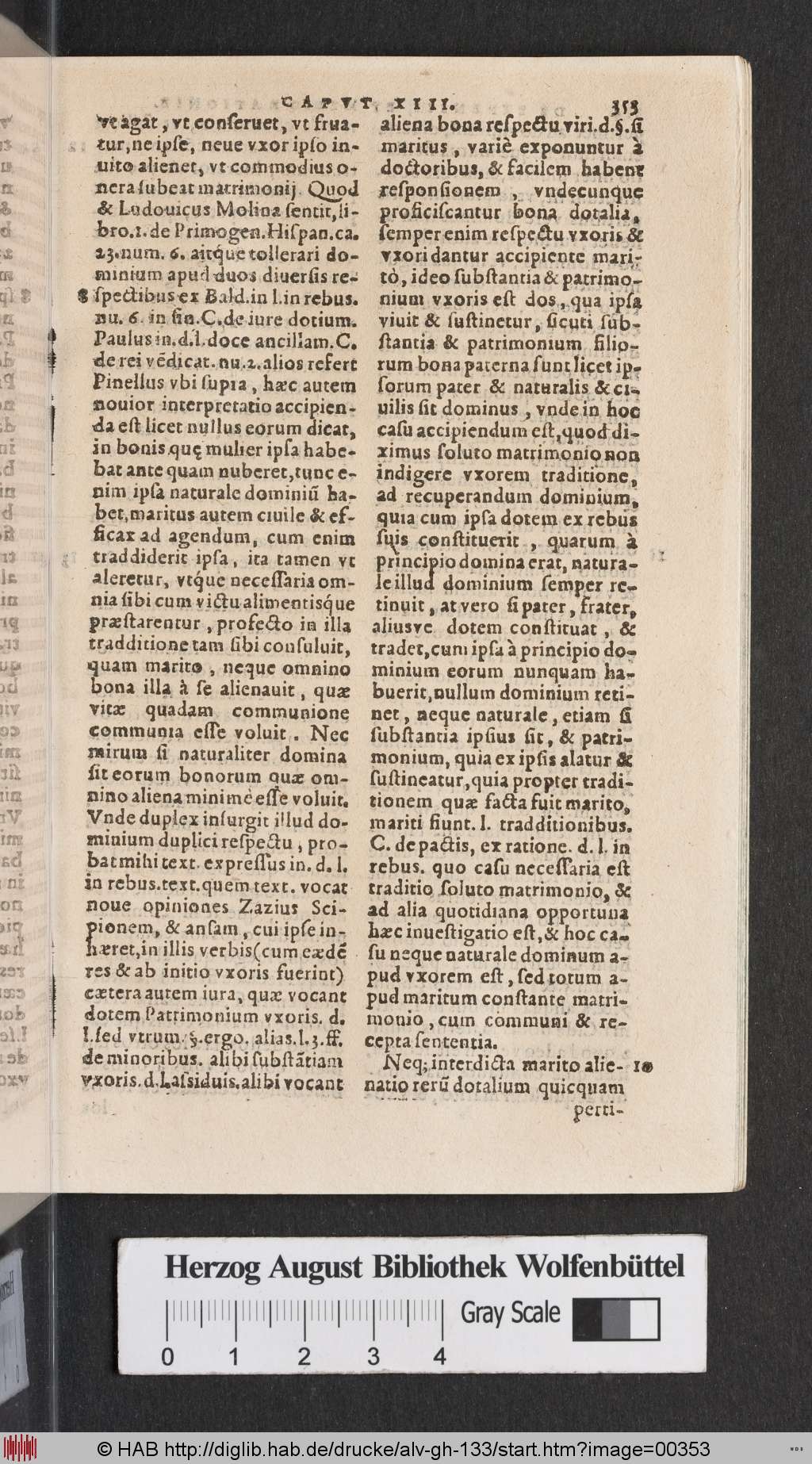 http://diglib.hab.de/drucke/alv-gh-133/00353.jpg