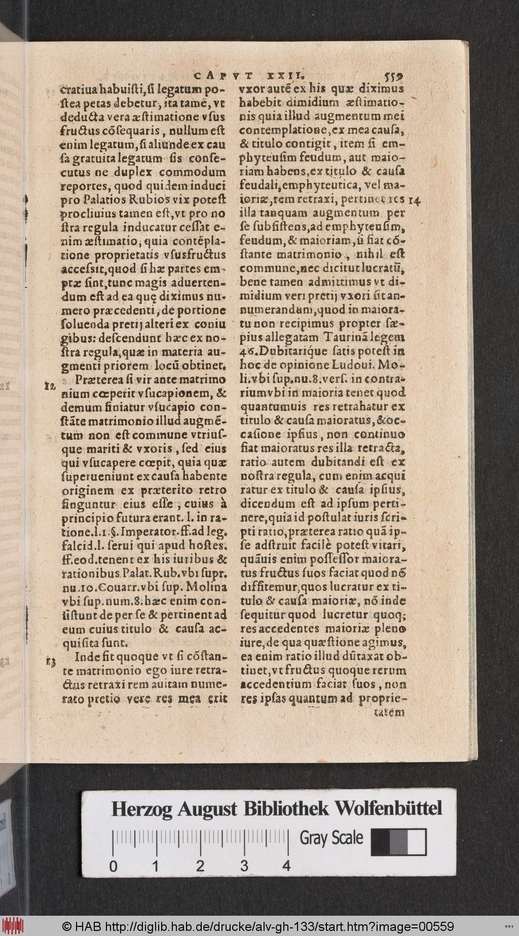 http://diglib.hab.de/drucke/alv-gh-133/00559.jpg