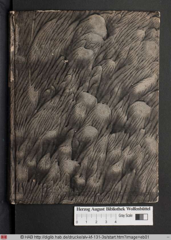 http://diglib.hab.de/drucke/alv-kf-131-3s/min/eb01.jpg