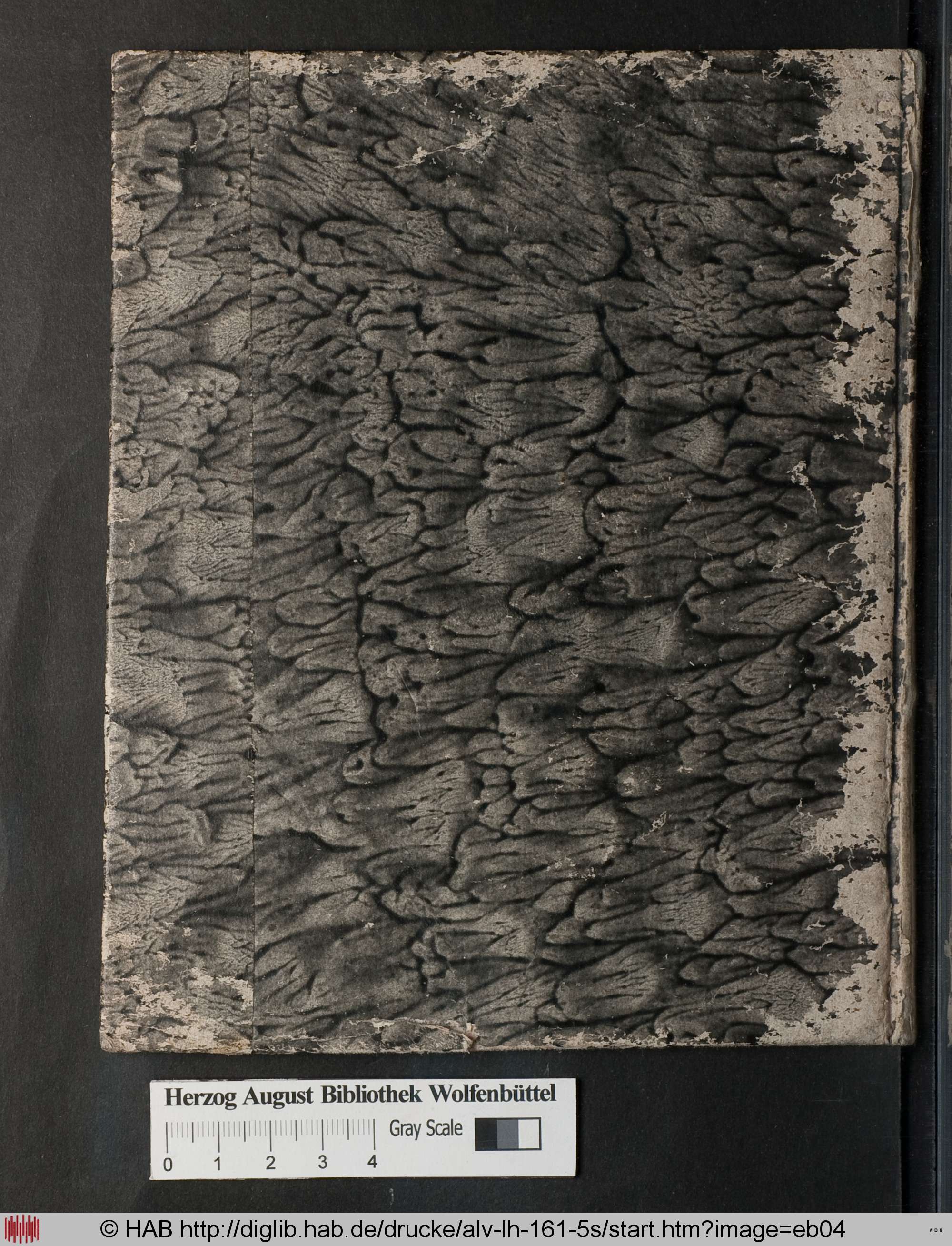 http://diglib.hab.de/drucke/alv-lh-161-5s/max/eb04.jpg