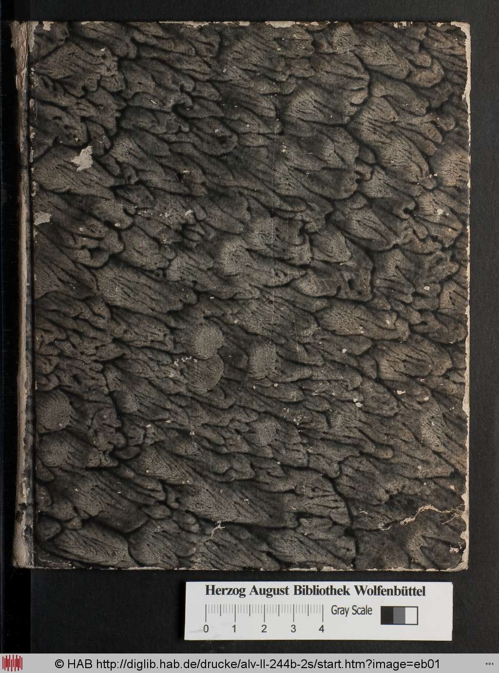 http://diglib.hab.de/drucke/alv-ll-244b-2s/eb01.jpg