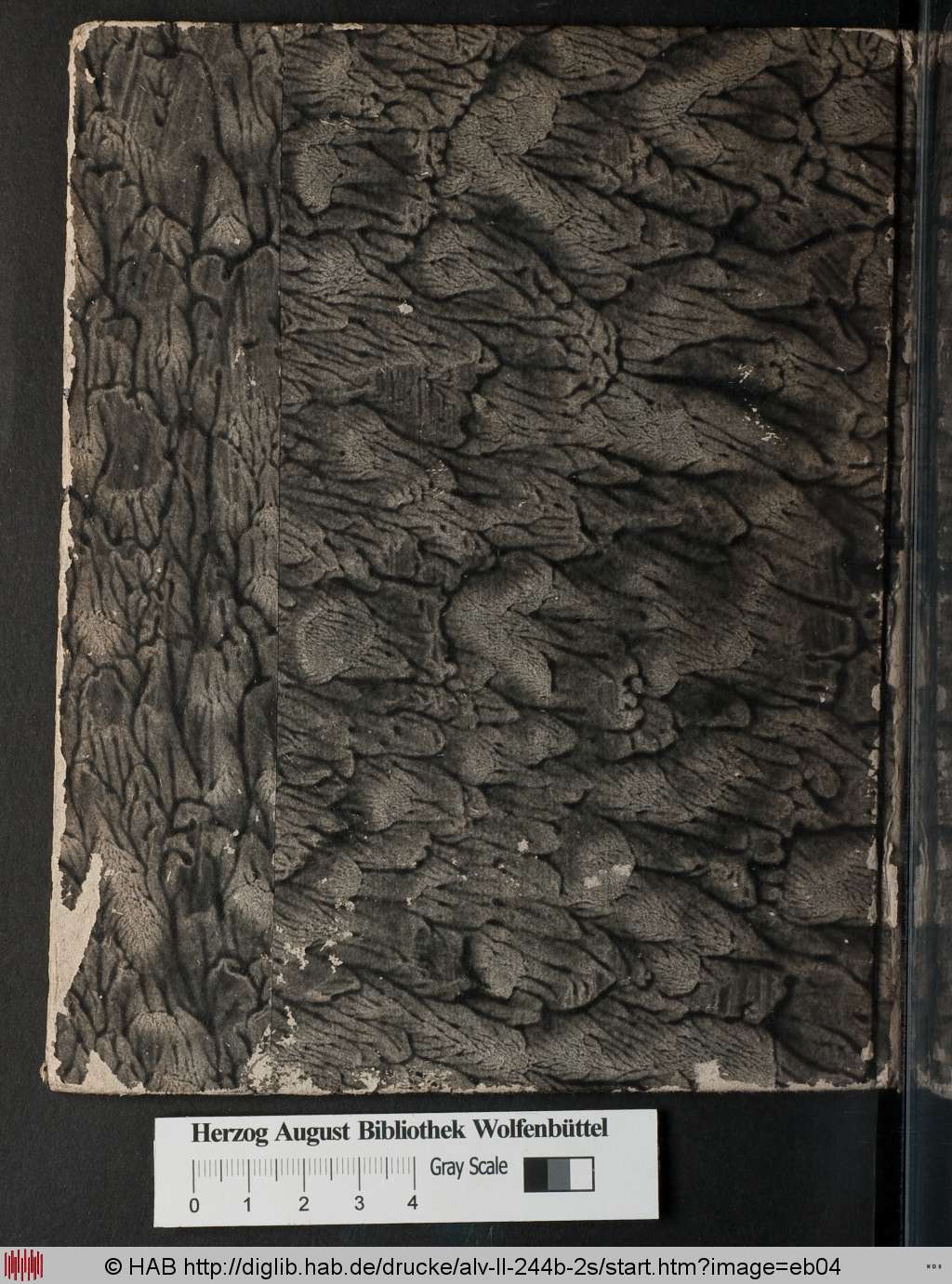 http://diglib.hab.de/drucke/alv-ll-244b-2s/eb04.jpg