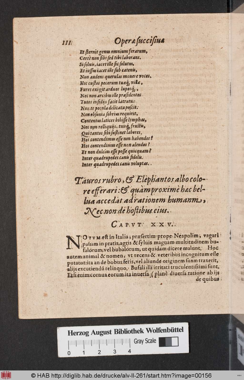 http://diglib.hab.de/drucke/alv-ll-261/00156.jpg