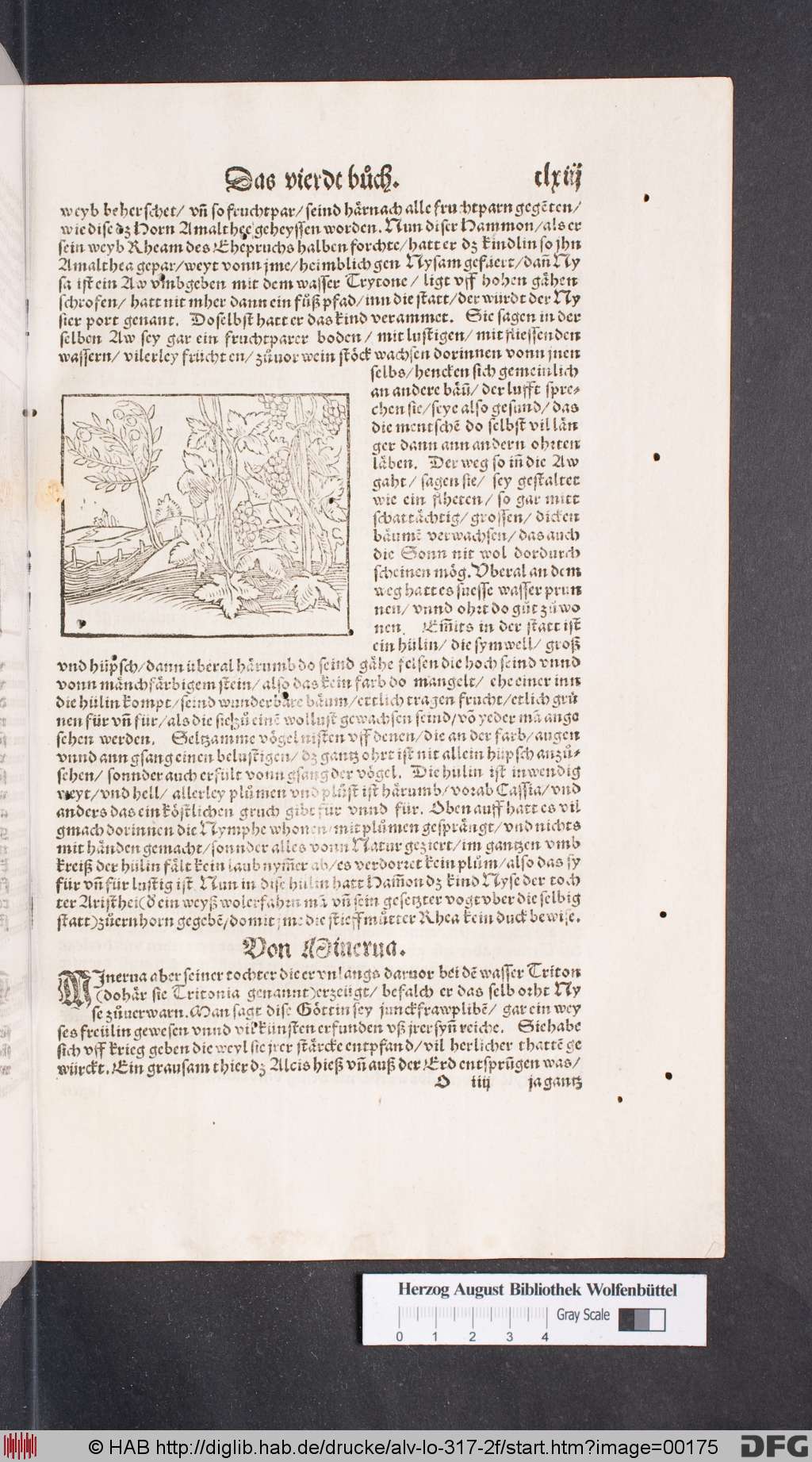 http://diglib.hab.de/drucke/alv-lo-317-2f/00175.jpg