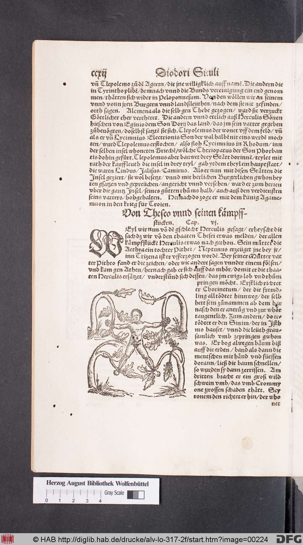 http://diglib.hab.de/drucke/alv-lo-317-2f/00224.jpg