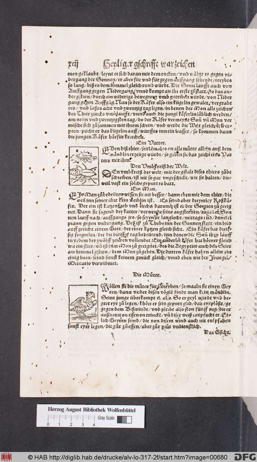 http://diglib.hab.de/drucke/alv-lo-317-2f/00680.jpg