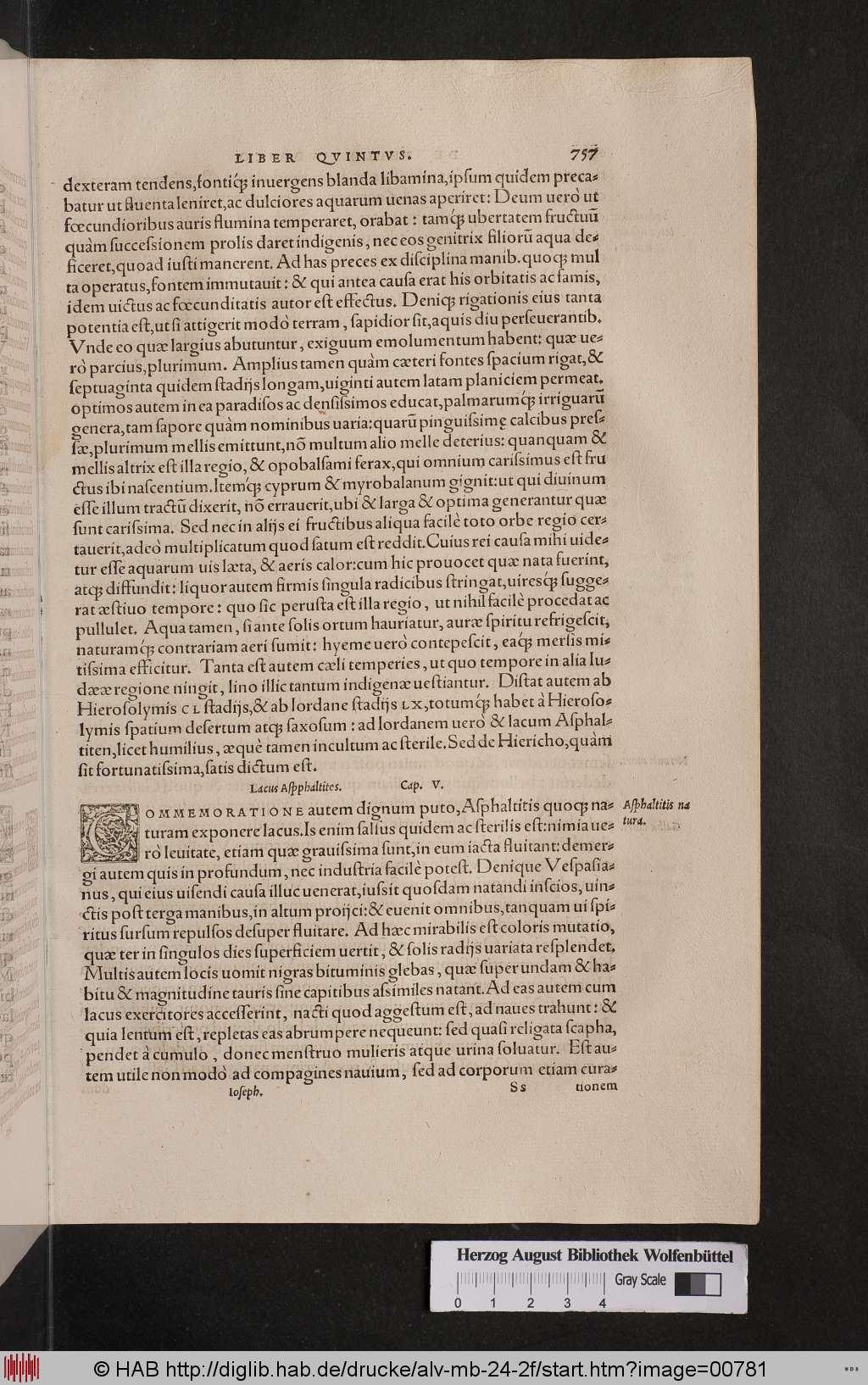 http://diglib.hab.de/drucke/alv-mb-24-2f/00781.jpg
