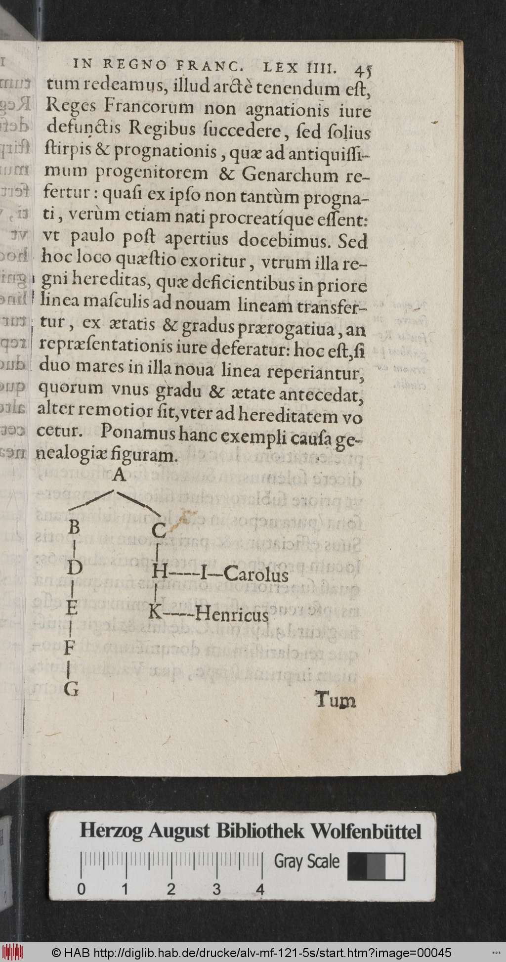 http://diglib.hab.de/drucke/alv-mf-121-5s/00045.jpg