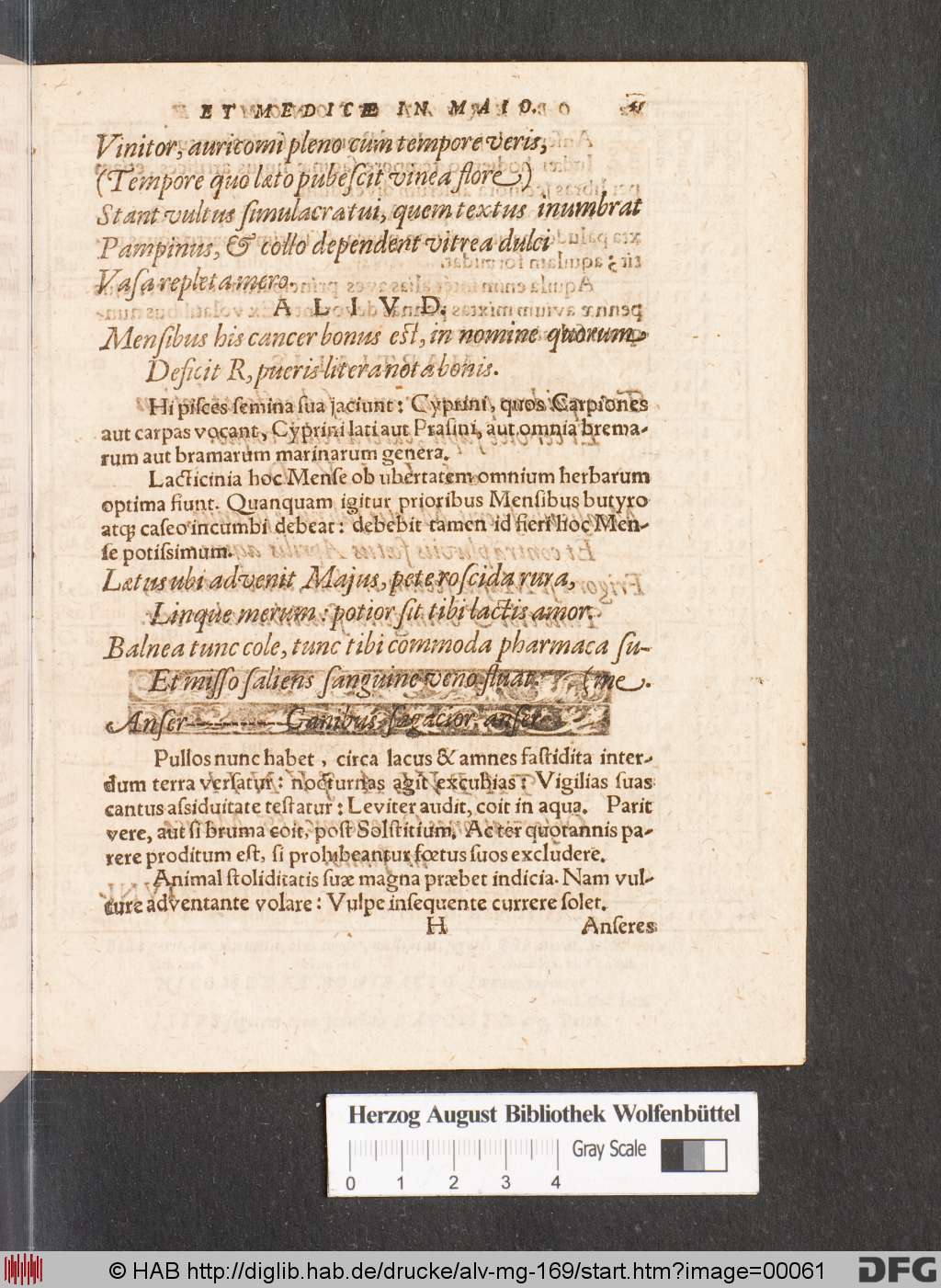 http://diglib.hab.de/drucke/alv-mg-169/00061.jpg