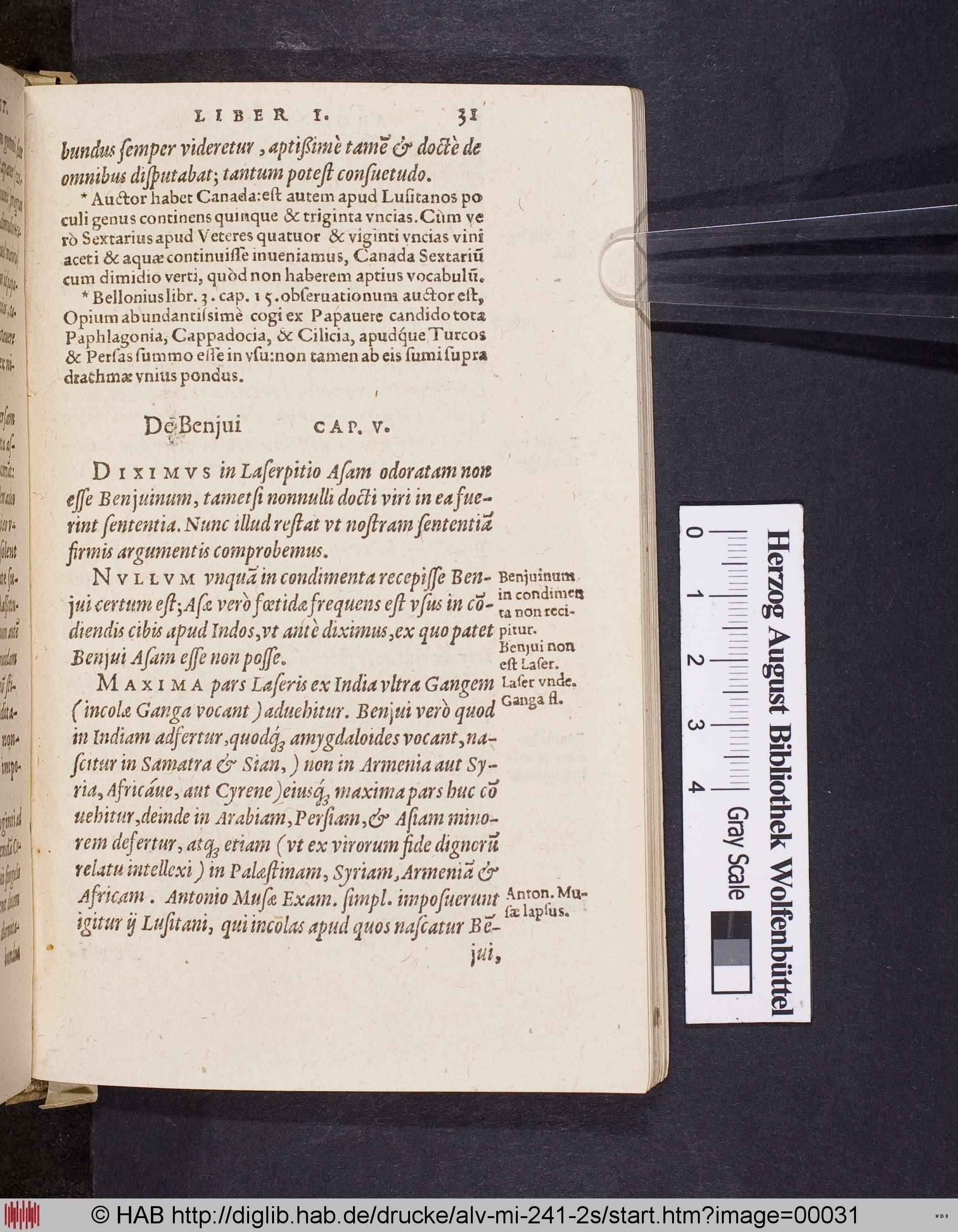 http://diglib.hab.de/drucke/alv-mi-241-2s/max/00031.jpg