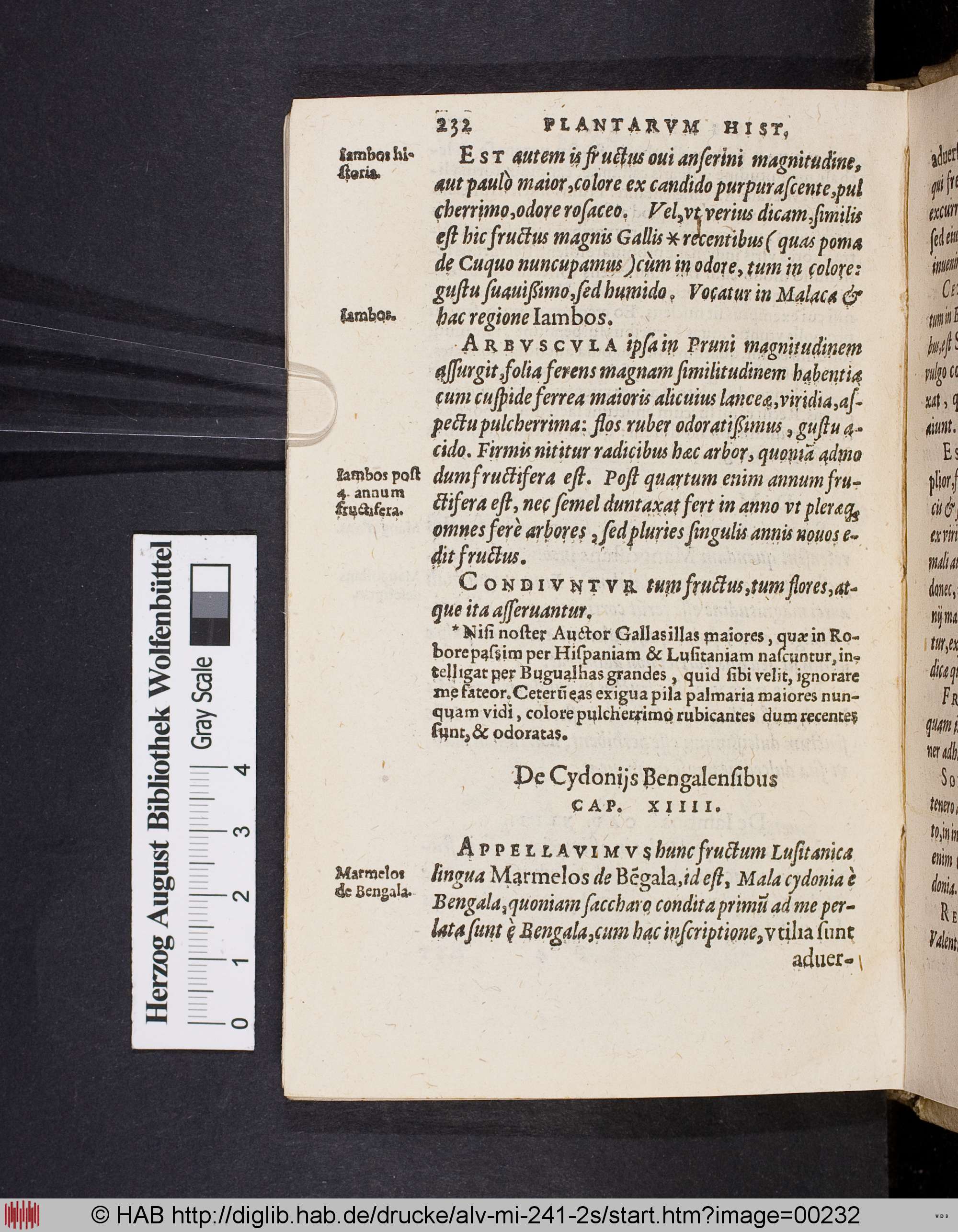http://diglib.hab.de/drucke/alv-mi-241-2s/max/00232.jpg