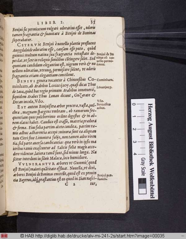 http://diglib.hab.de/drucke/alv-mi-241-2s/min/00035.jpg