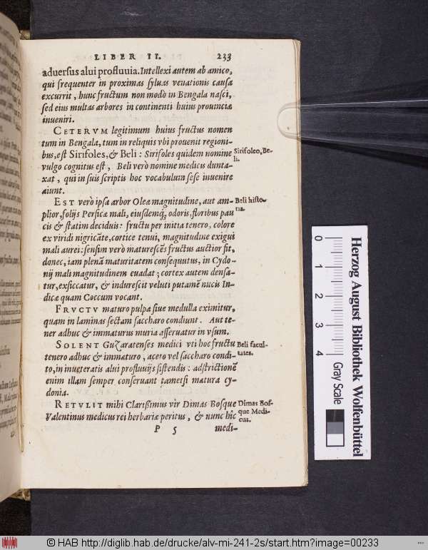 http://diglib.hab.de/drucke/alv-mi-241-2s/min/00233.jpg