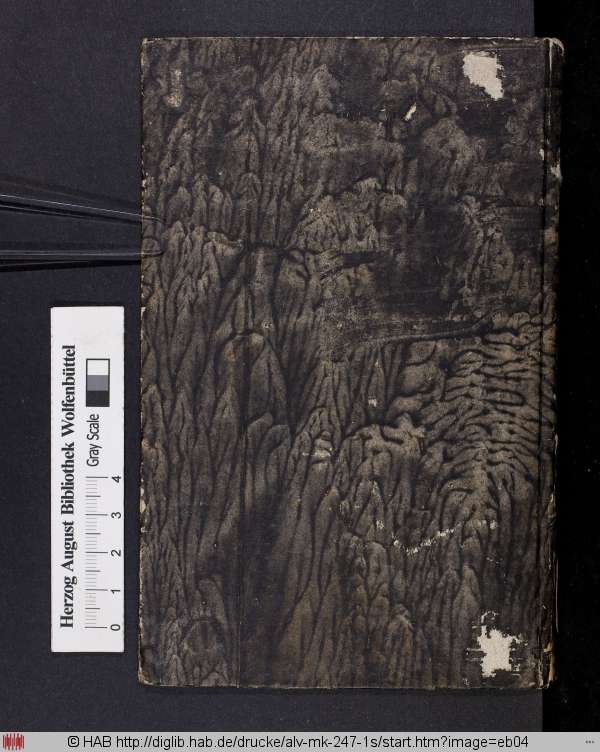http://diglib.hab.de/drucke/alv-mk-247-1s/min/eb04.jpg