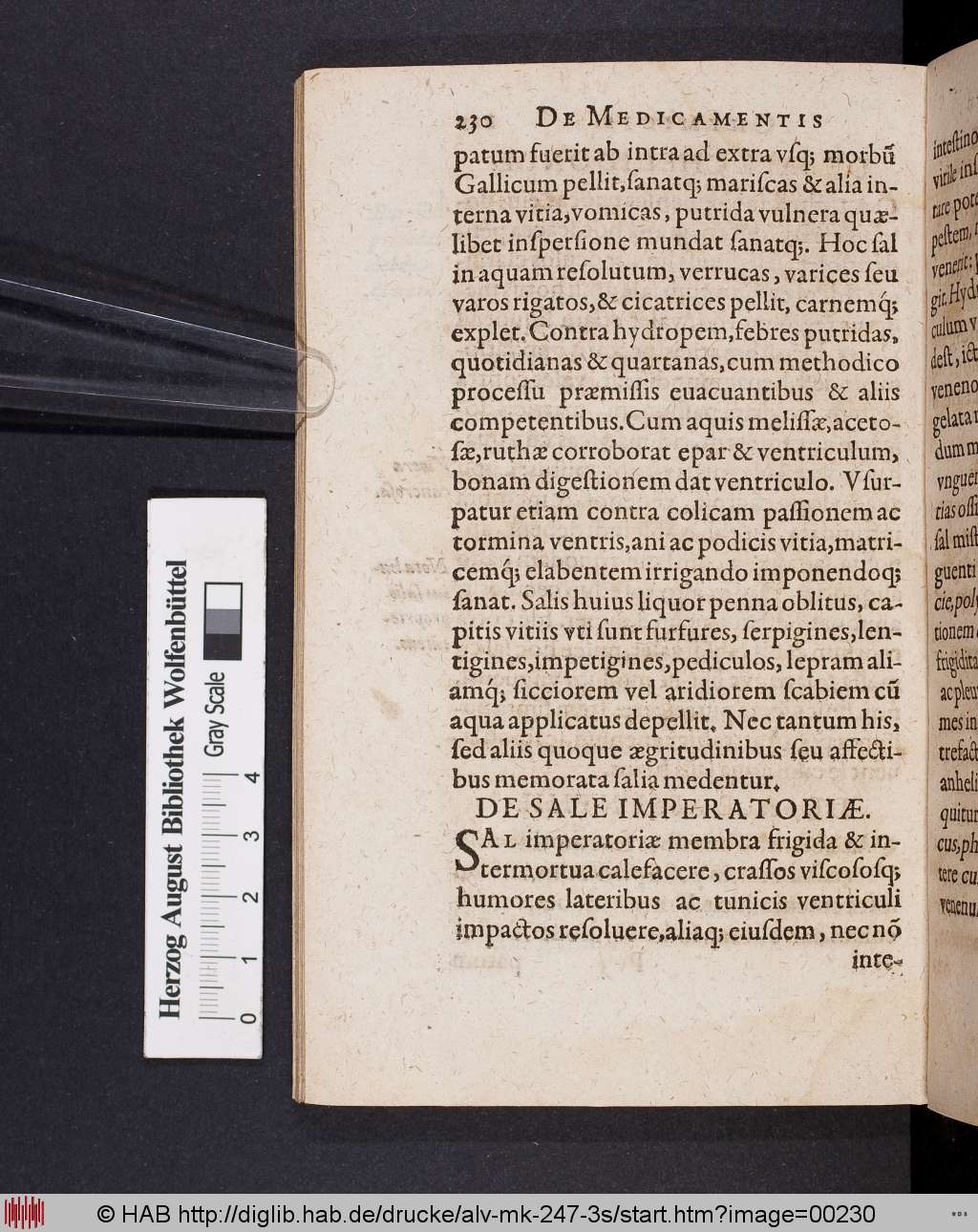 http://diglib.hab.de/drucke/alv-mk-247-3s/00230.jpg