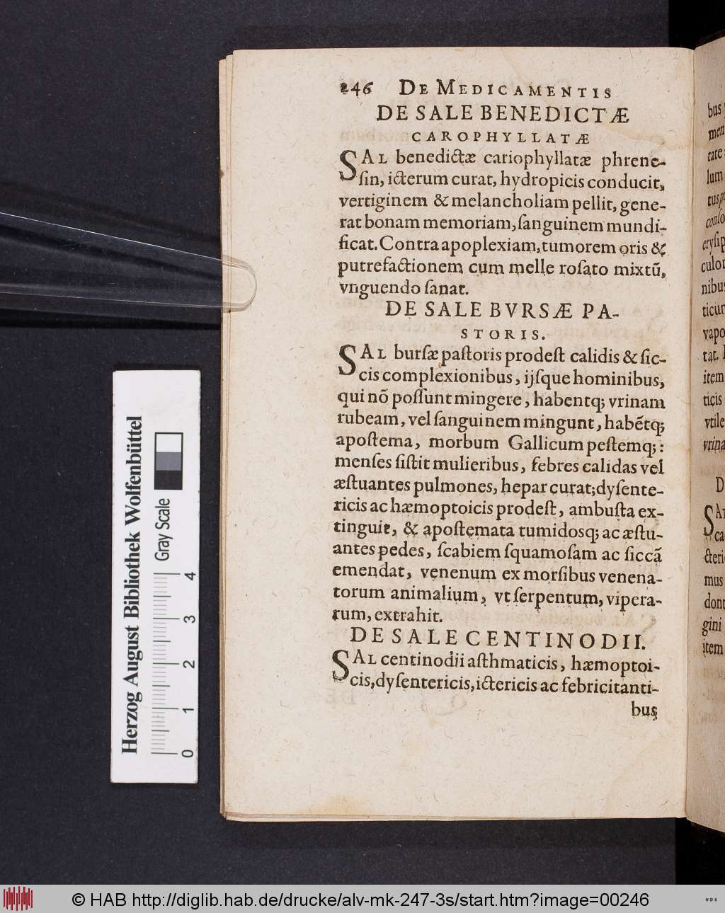 http://diglib.hab.de/drucke/alv-mk-247-3s/00246.jpg