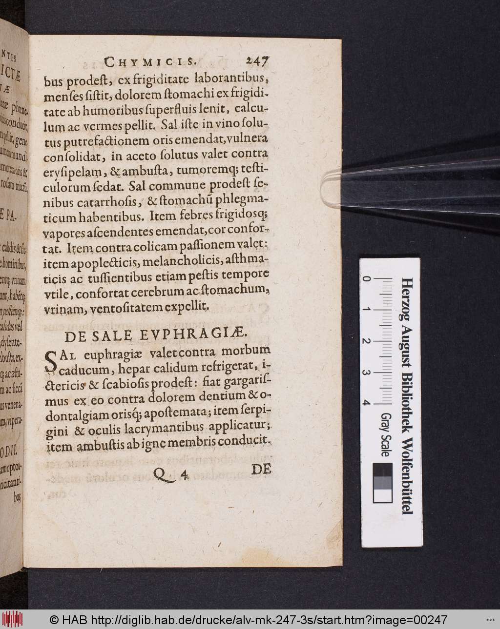 http://diglib.hab.de/drucke/alv-mk-247-3s/00247.jpg