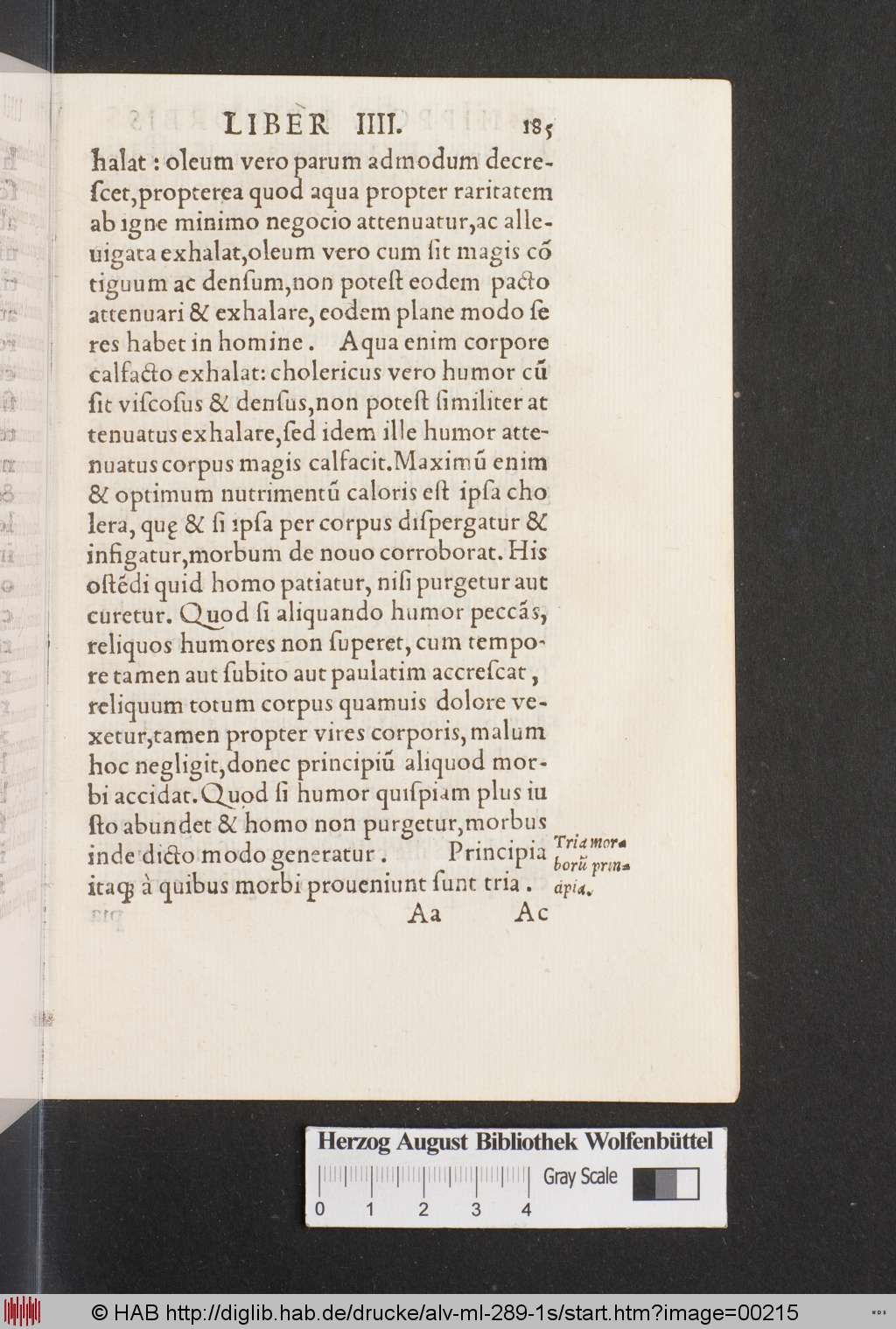 http://diglib.hab.de/drucke/alv-ml-289-1s/00215.jpg