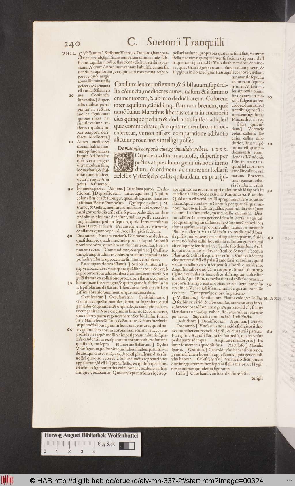 http://diglib.hab.de/drucke/alv-mn-337-2f/00324.jpg