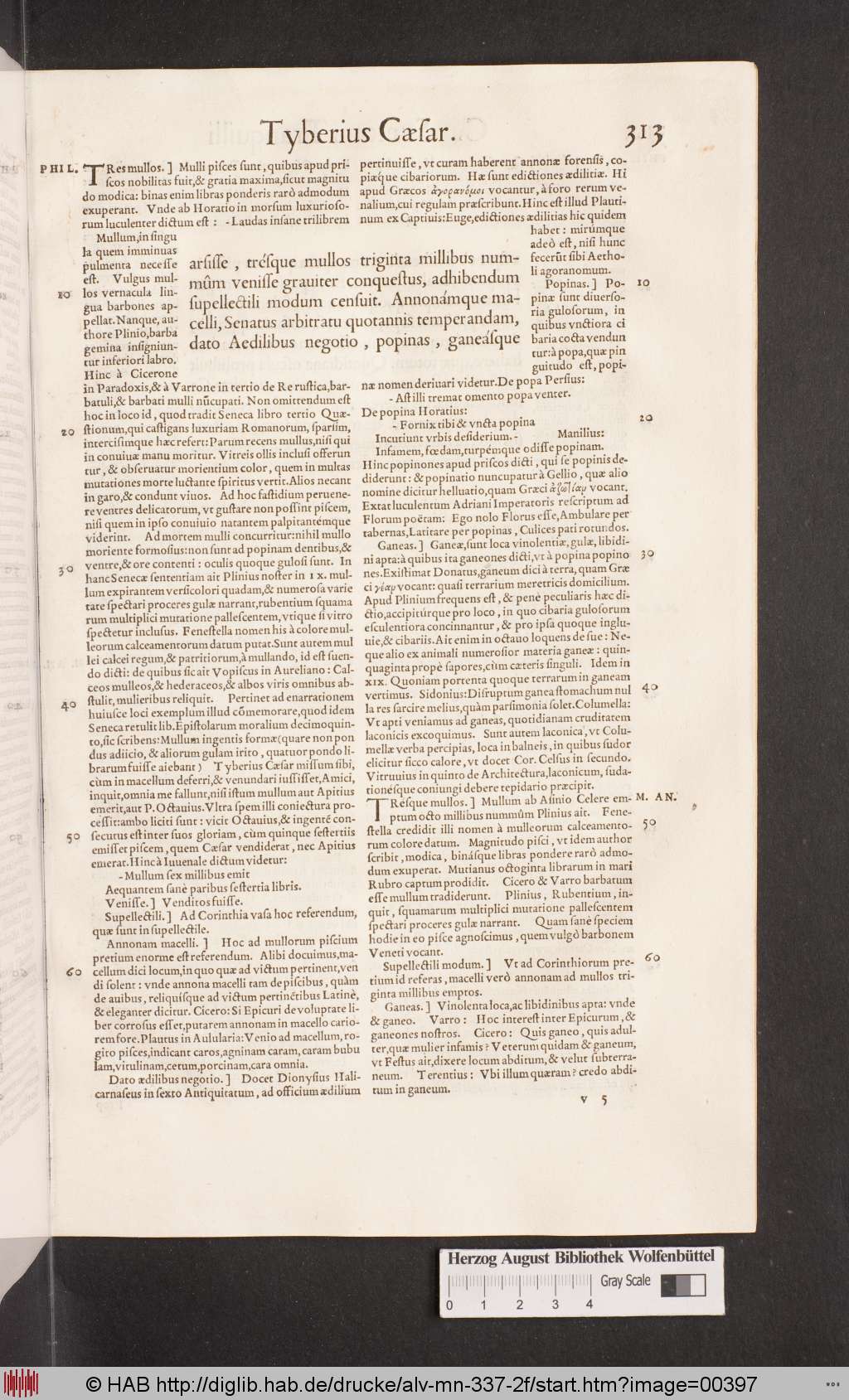 http://diglib.hab.de/drucke/alv-mn-337-2f/00397.jpg