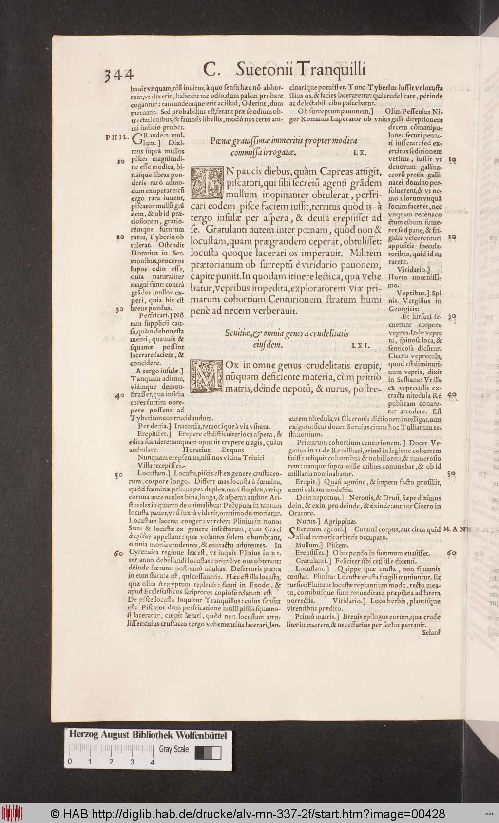 http://diglib.hab.de/drucke/alv-mn-337-2f/00428.jpg