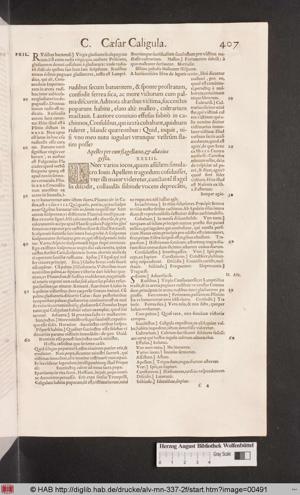 http://diglib.hab.de/drucke/alv-mn-337-2f/00491.jpg