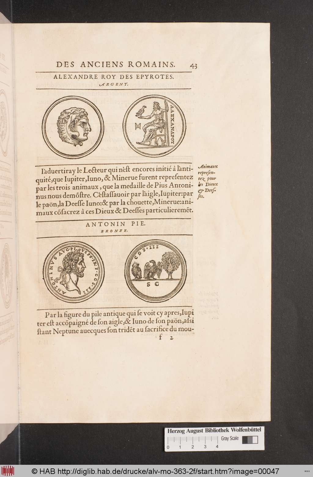 http://diglib.hab.de/drucke/alv-mo-363-2f/00047.jpg