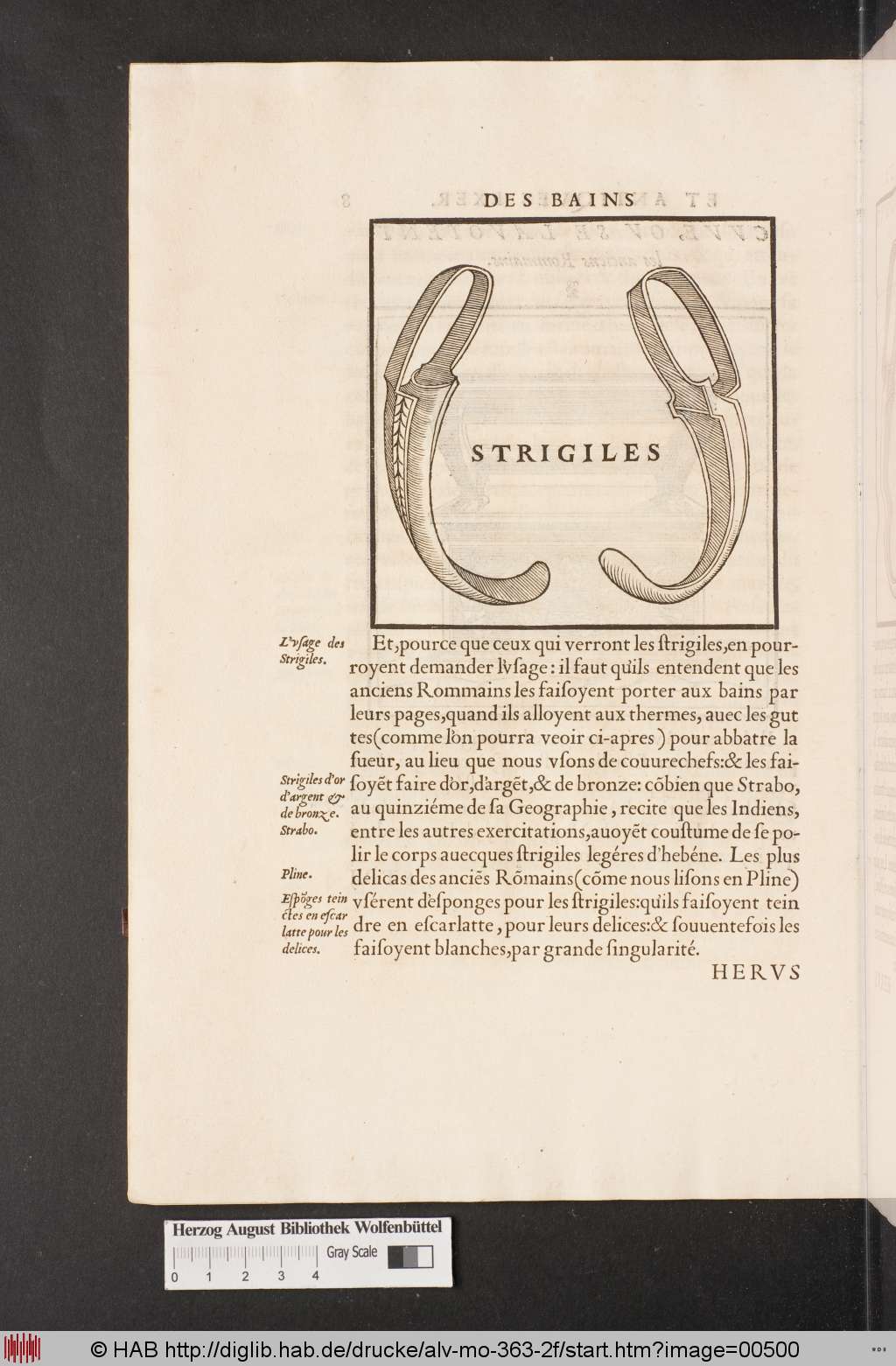 http://diglib.hab.de/drucke/alv-mo-363-2f/00500.jpg