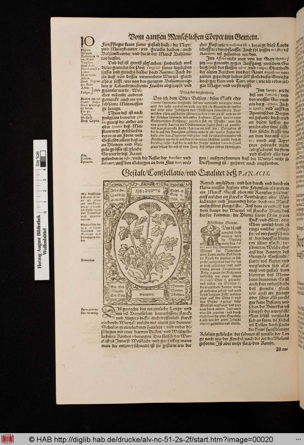 http://diglib.hab.de/drucke/alv-nc-51-2s-2f/00020.jpg