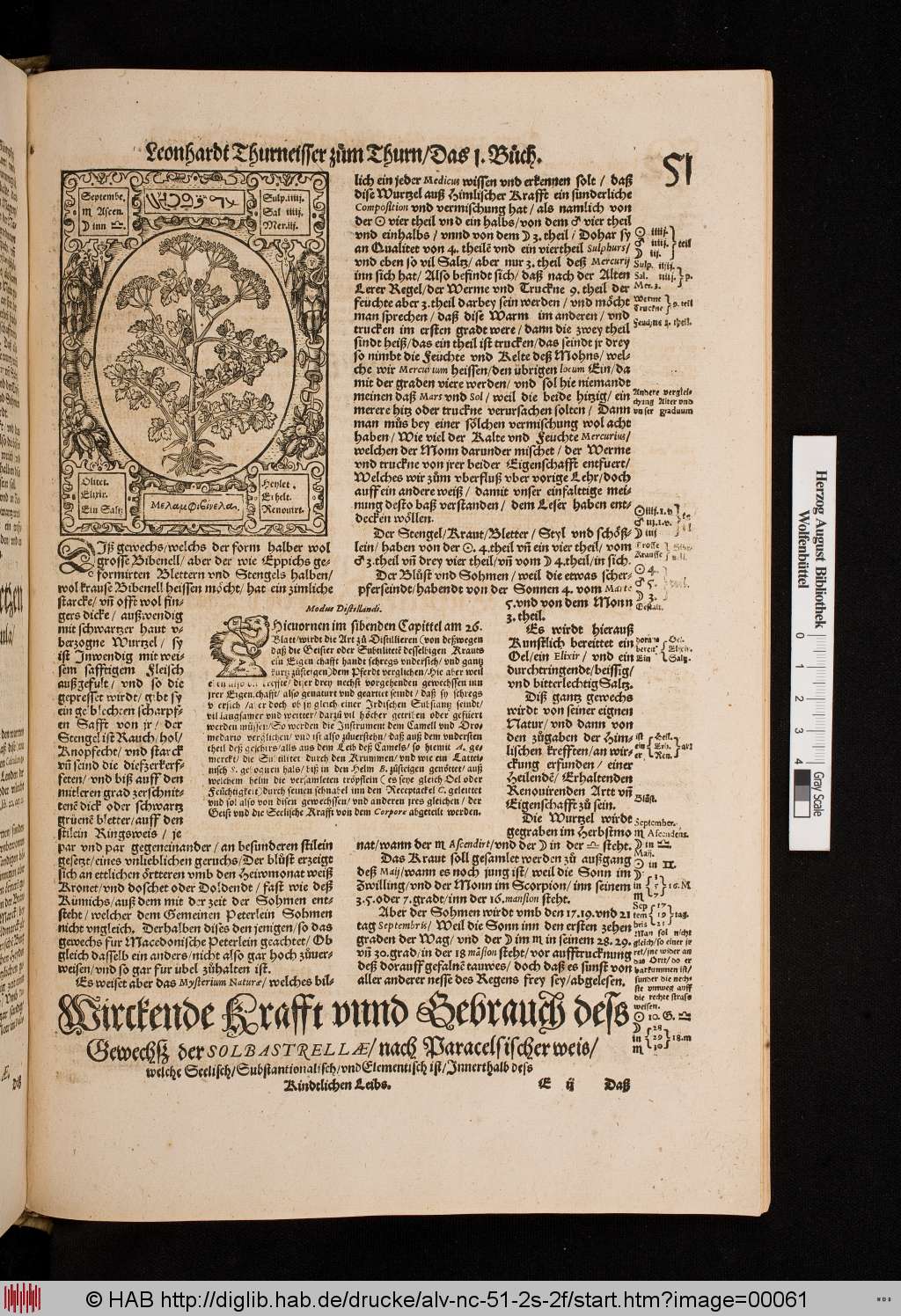 http://diglib.hab.de/drucke/alv-nc-51-2s-2f/00061.jpg