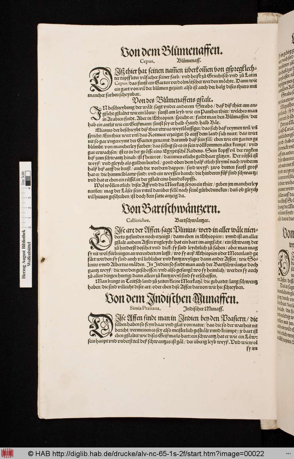 http://diglib.hab.de/drucke/alv-nc-65-1s-2f/00022.jpg