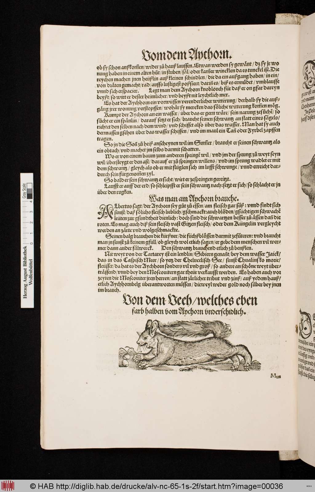 http://diglib.hab.de/drucke/alv-nc-65-1s-2f/00036.jpg
