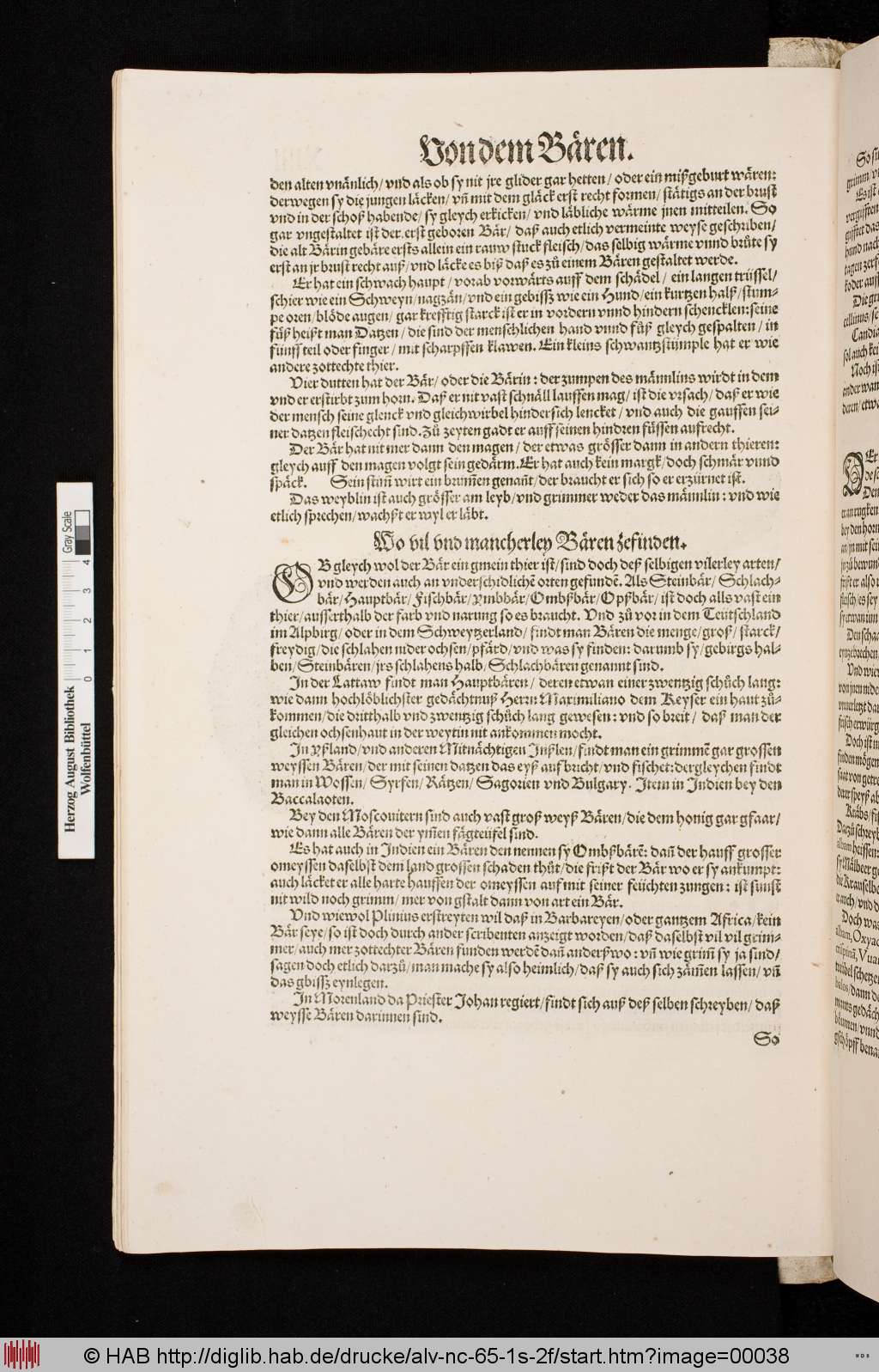 http://diglib.hab.de/drucke/alv-nc-65-1s-2f/00038.jpg