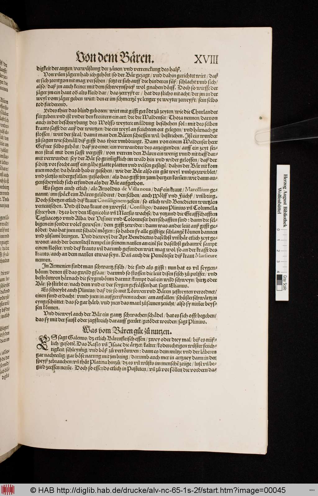 http://diglib.hab.de/drucke/alv-nc-65-1s-2f/00045.jpg