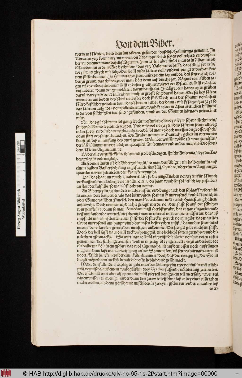 http://diglib.hab.de/drucke/alv-nc-65-1s-2f/00060.jpg
