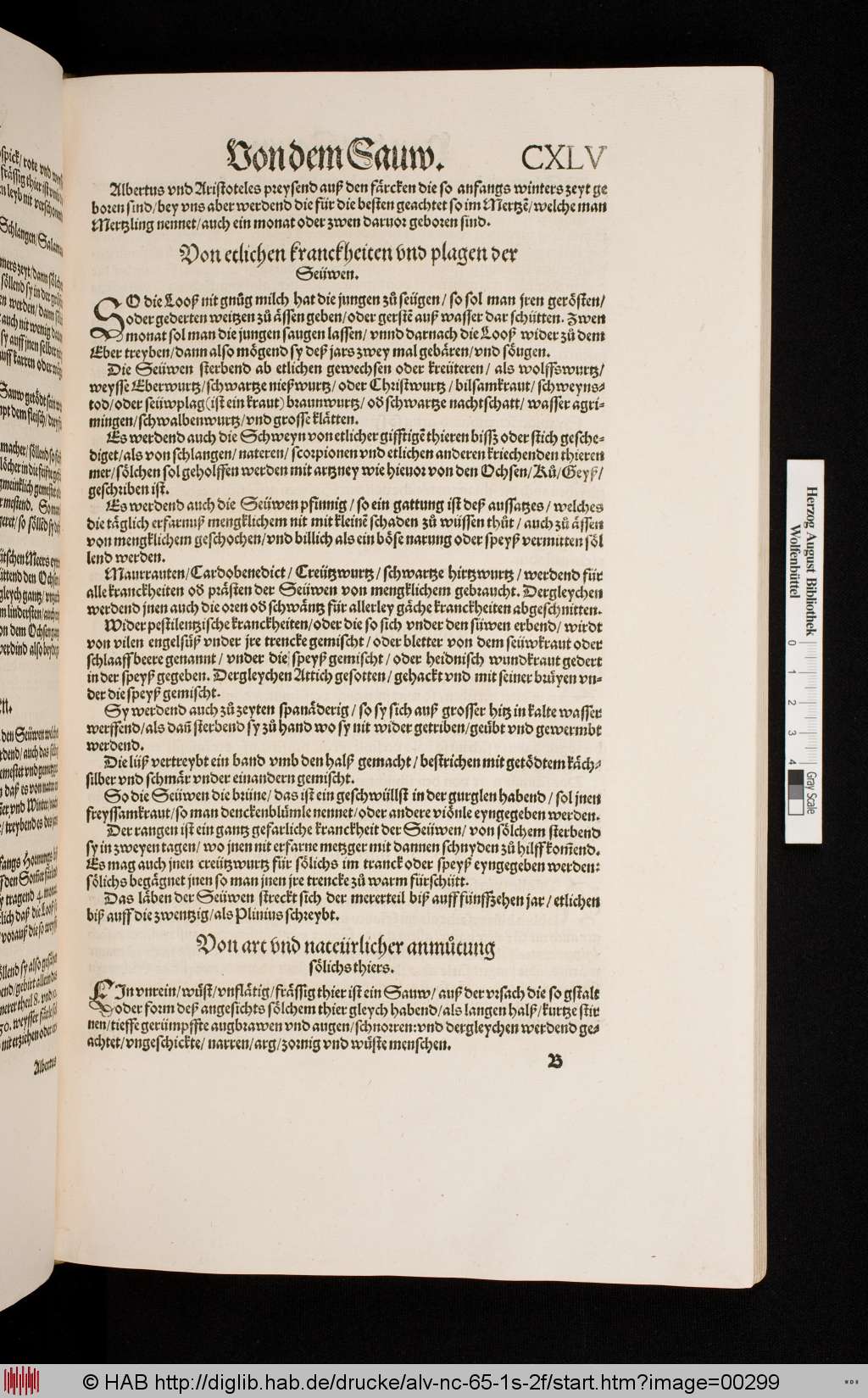 http://diglib.hab.de/drucke/alv-nc-65-1s-2f/00299.jpg