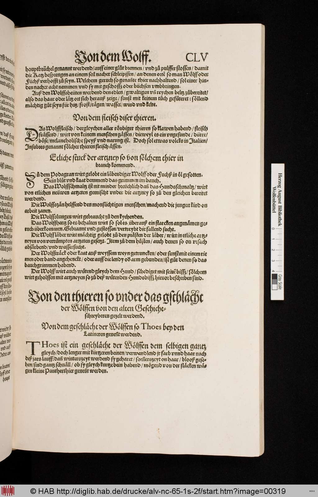 http://diglib.hab.de/drucke/alv-nc-65-1s-2f/00319.jpg