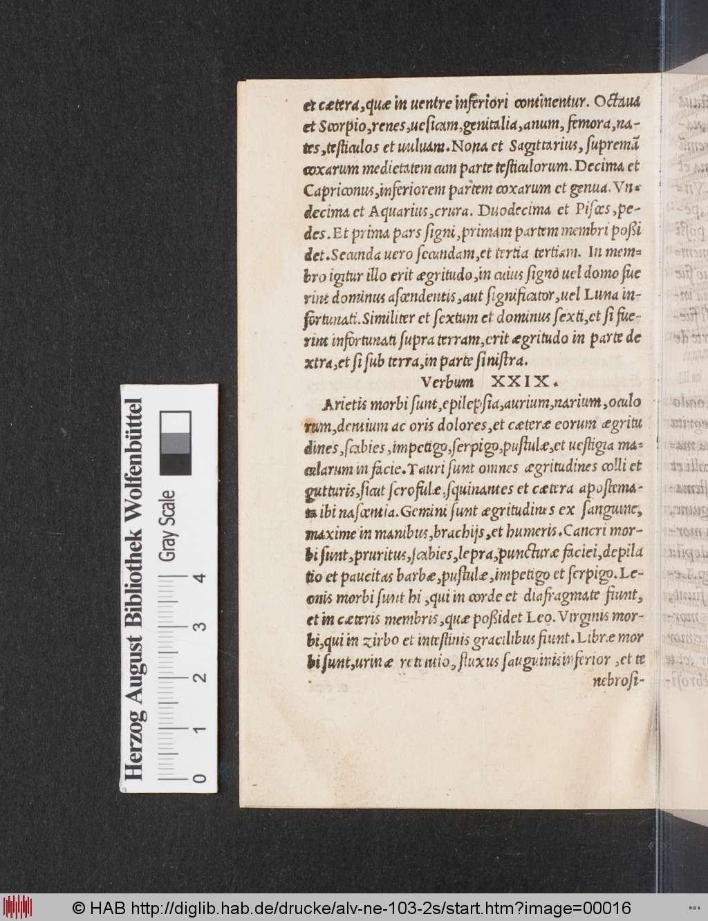 http://diglib.hab.de/drucke/alv-ne-103-2s/00016.jpg