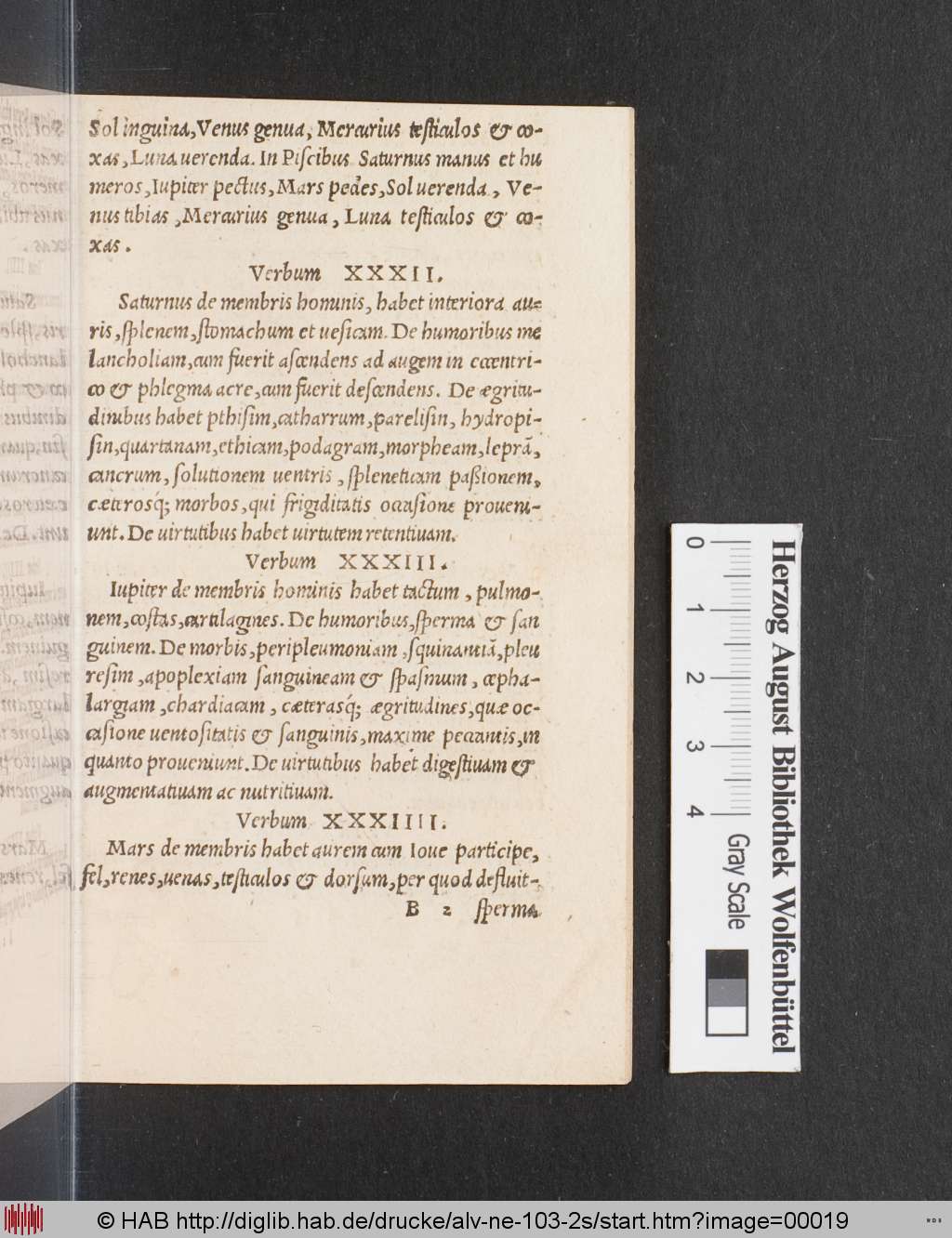 http://diglib.hab.de/drucke/alv-ne-103-2s/00019.jpg