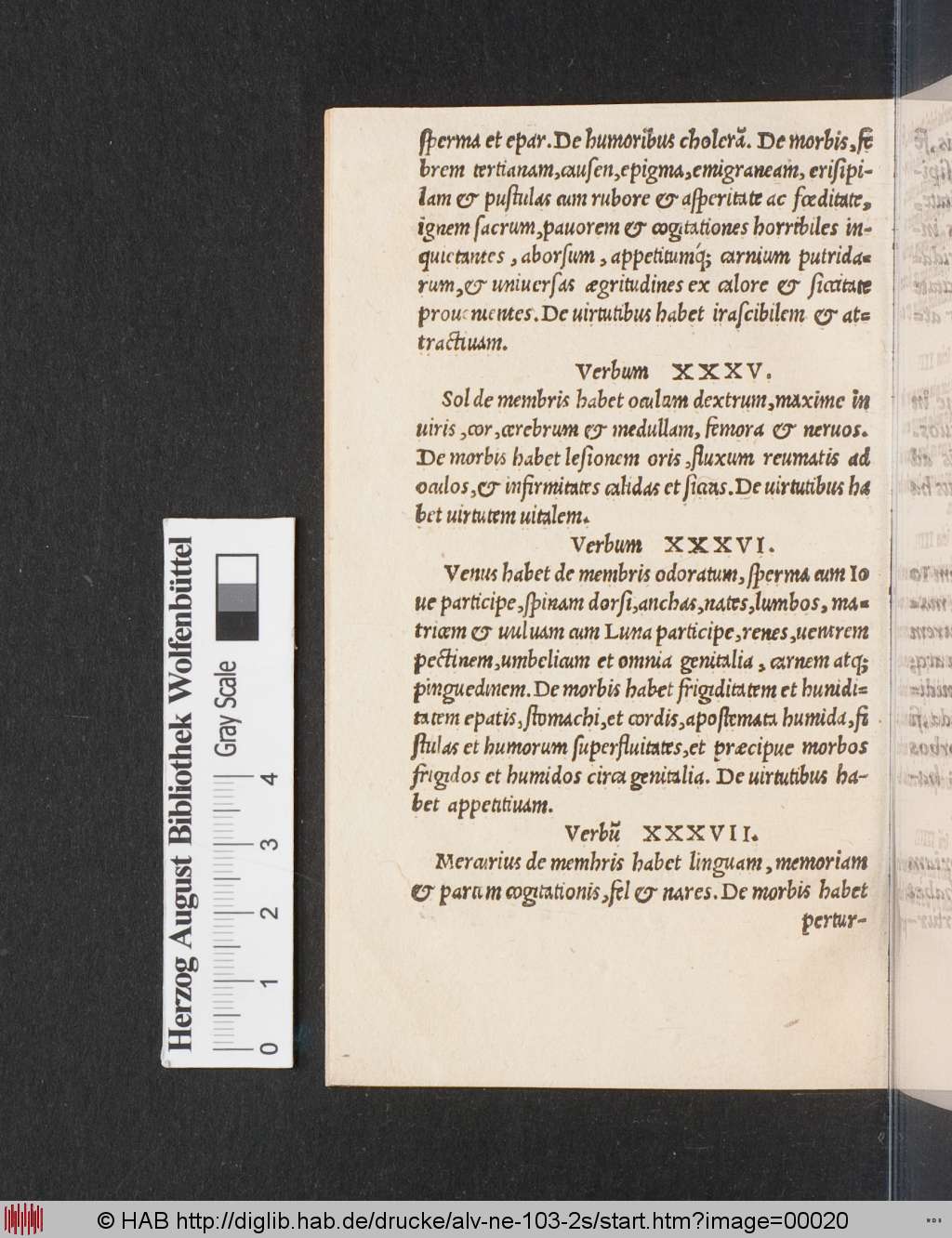 http://diglib.hab.de/drucke/alv-ne-103-2s/00020.jpg